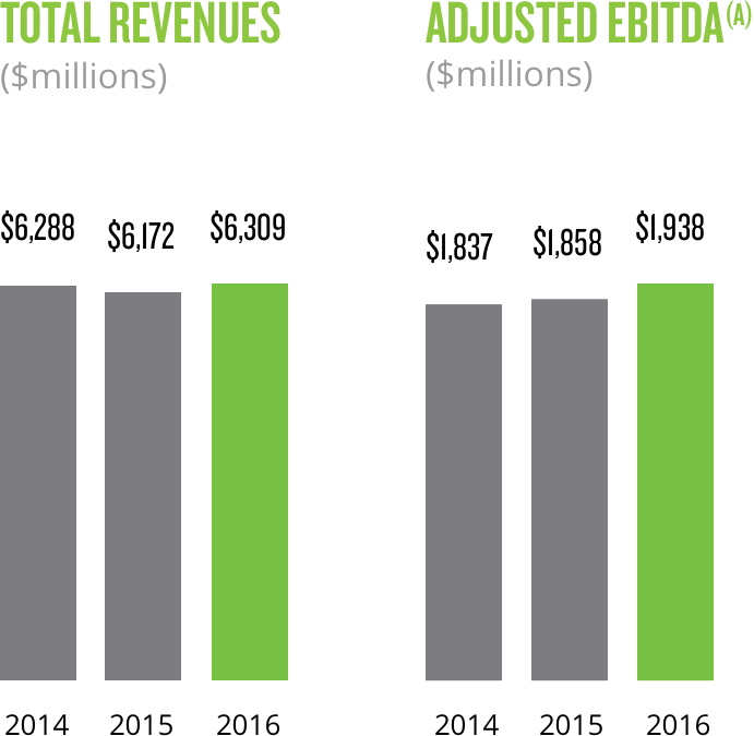 Charts for 2016 Total Revenue and Adjusted EBITDA