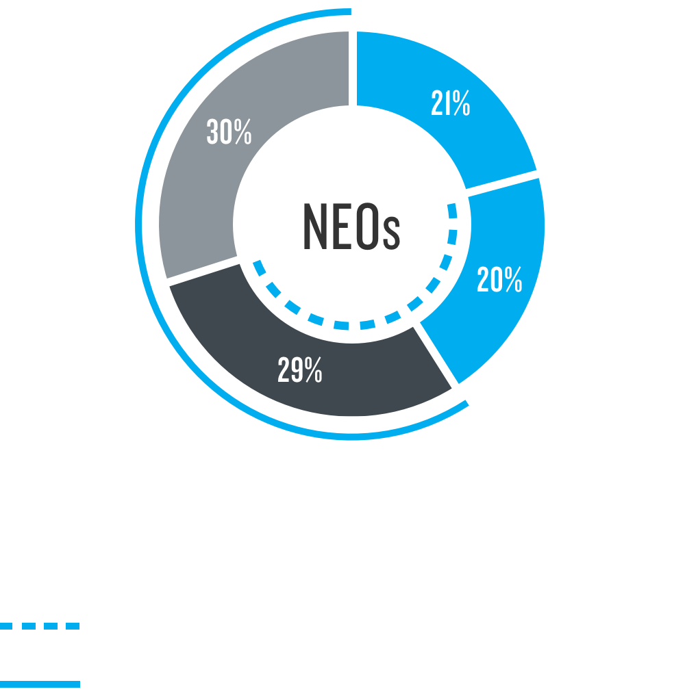 Pie chart of Nielsen's CEO compensation structure